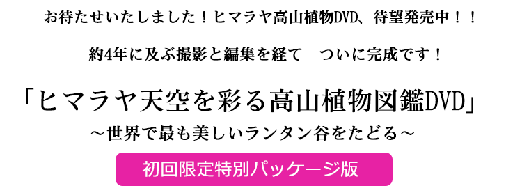 「ヒマラヤ高山植物図鑑」DVD発売決定