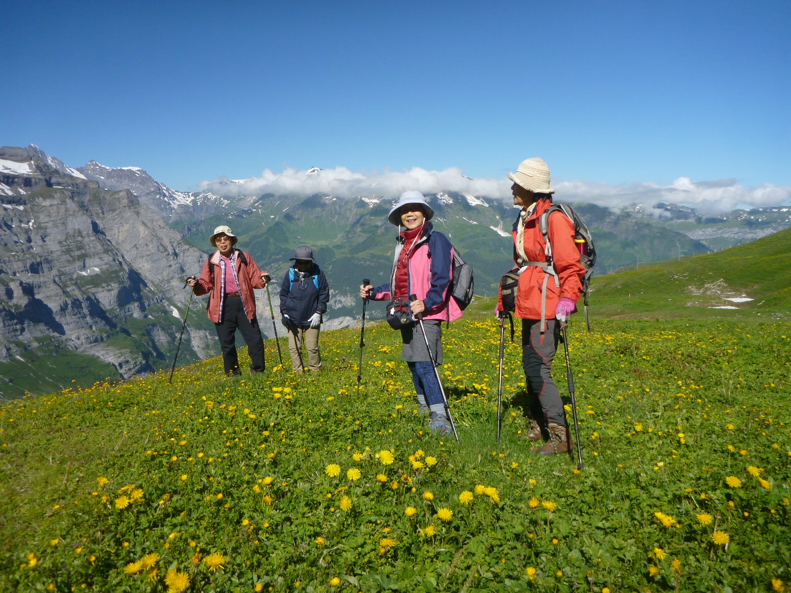 スイスアルプスと可憐な高山植物をゆったりと巡るトレッキング ヒマラヤトレッキング 登山ツアー専門 サパナ
