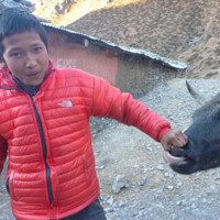 キッチンボーイ