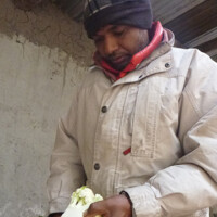 セカンドコック